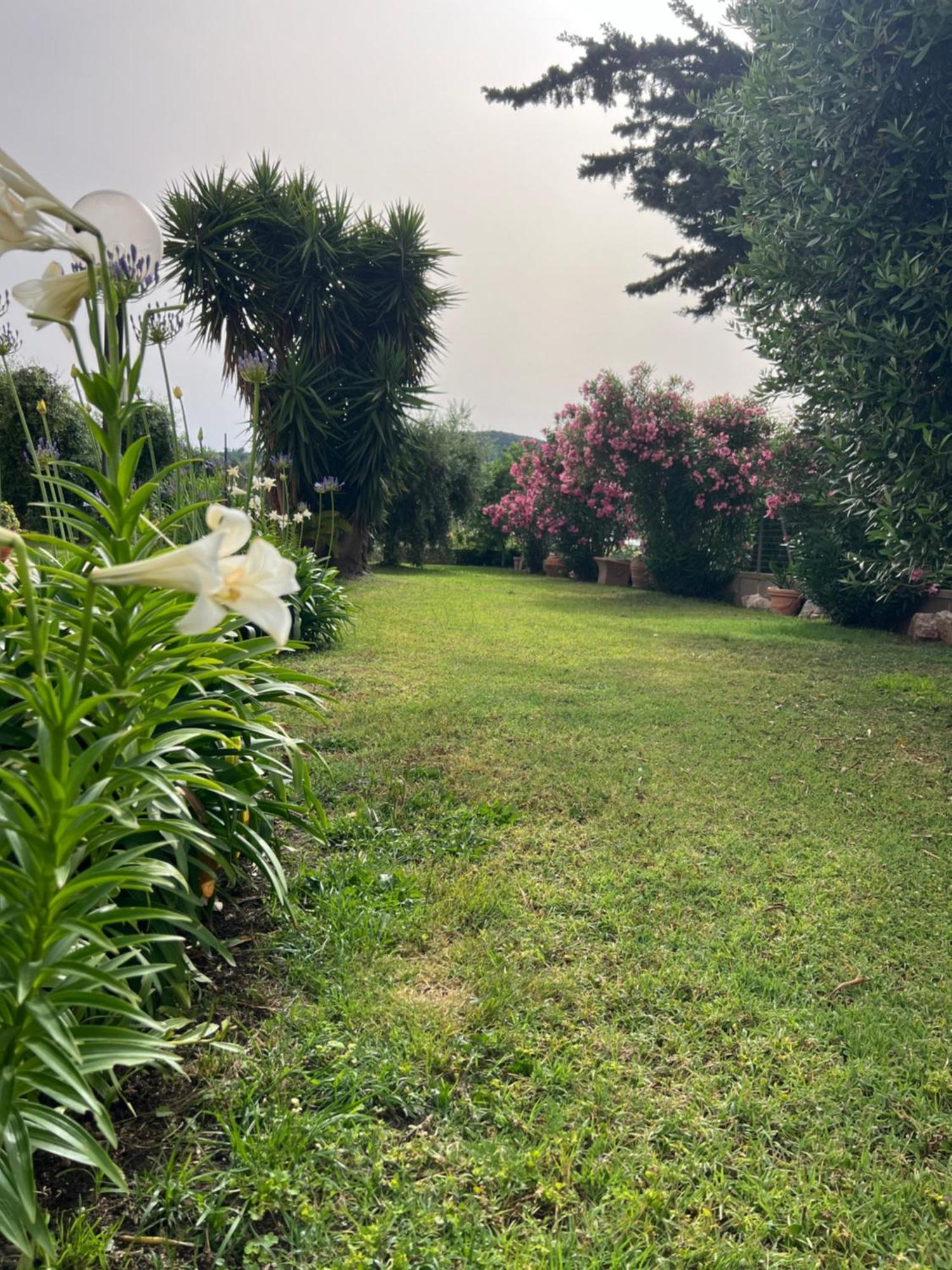Agriturismo Il Giardino Degli Olivi Appartamenti Castiglione della Pescaia Zewnętrze zdjęcie