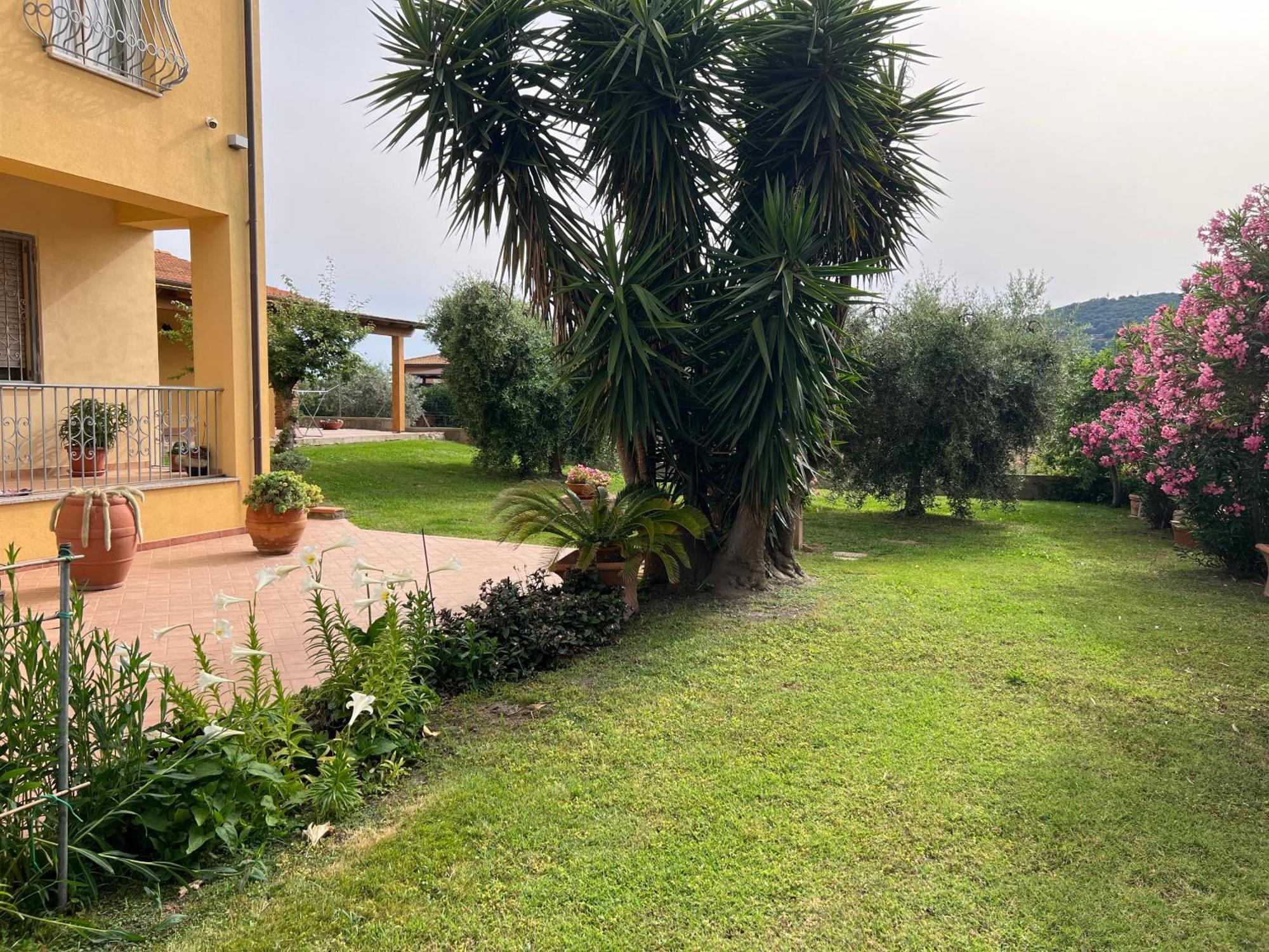 Agriturismo Il Giardino Degli Olivi Appartamenti Castiglione della Pescaia Zewnętrze zdjęcie